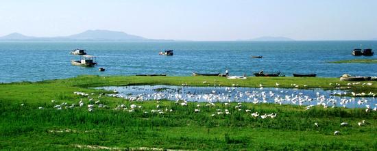 魚やエビ、カニが豊富で、灌漑、水運は豊かで風光明媚の地として知られている安徽省巣湖(蔡さん特別編)